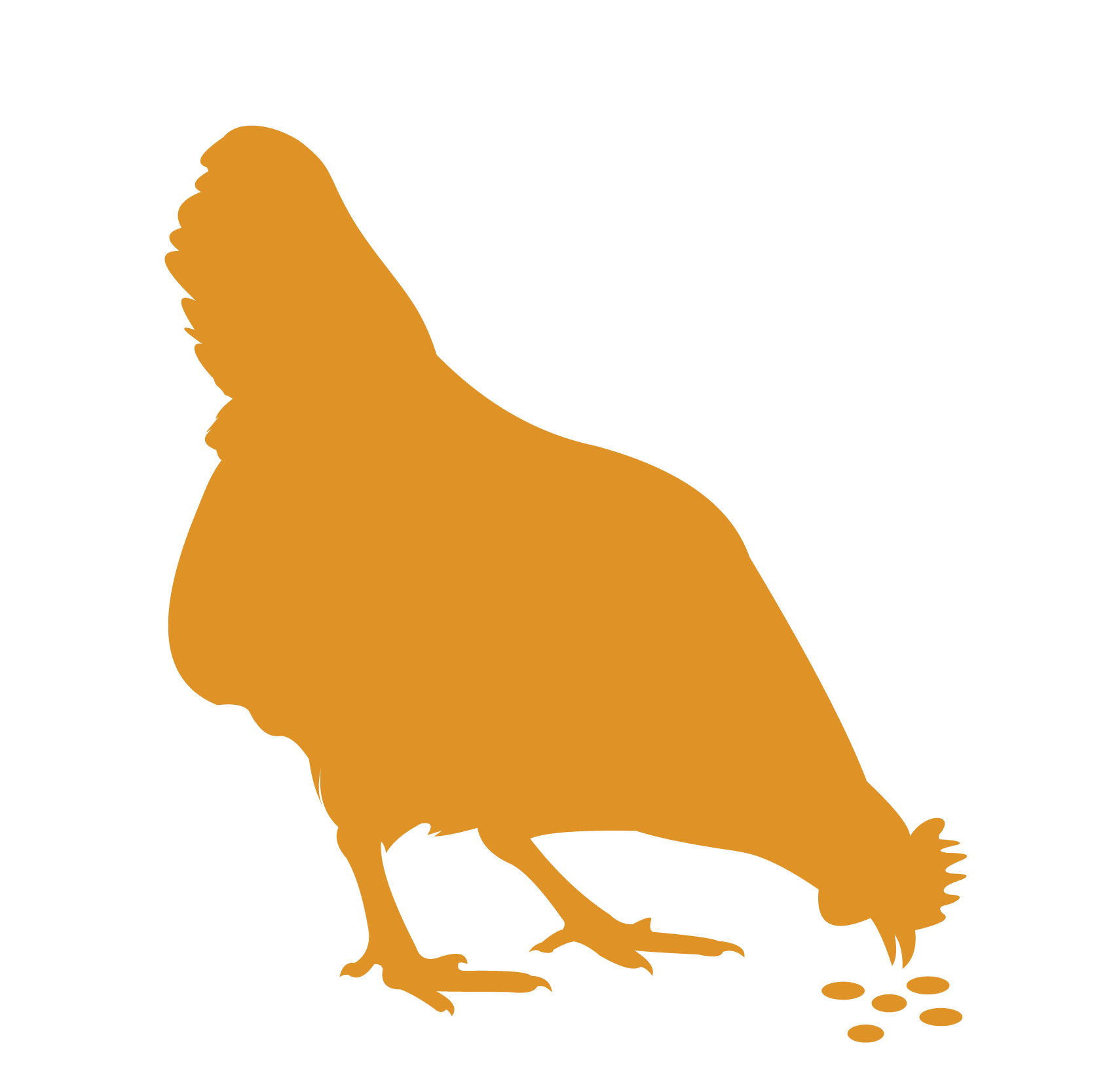 FEED approved with restrictions or phasing out image